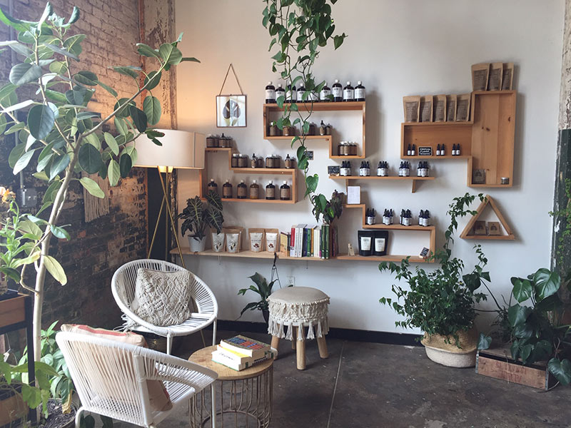 Anima Mundi Store Inside